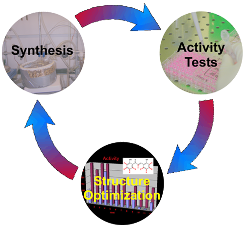 Research cycle